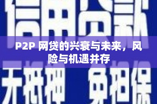 东方P2P 网贷的兴衰与未来，风险与机遇并存