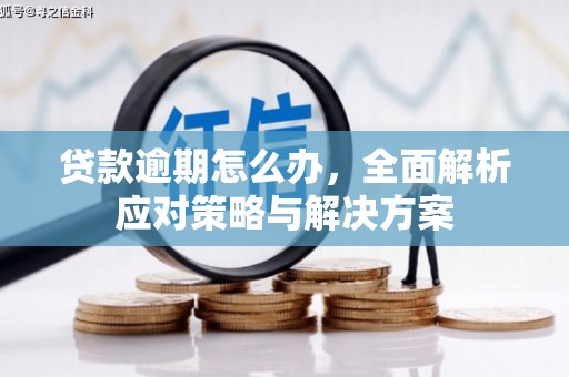 东方贷款逾期怎么办，全面解析应对策略与解决方案