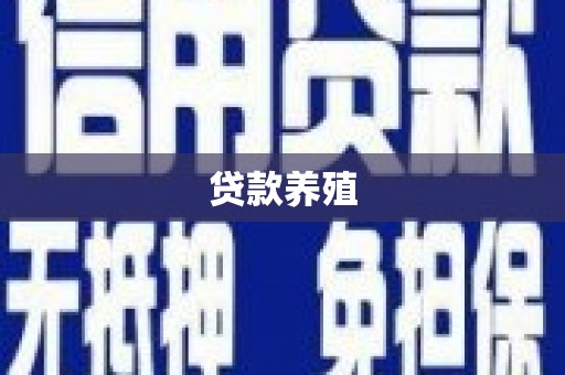 东方贷款养殖