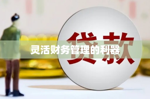 东方灵活财务管理的利器