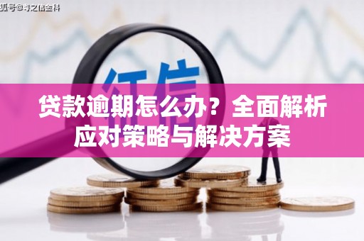 东方贷款逾期怎么办？全面解析应对策略与解决方案