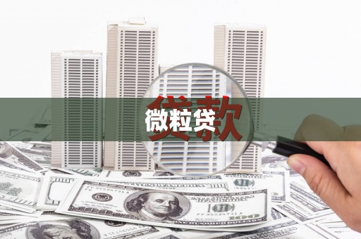 东方微粒贷
