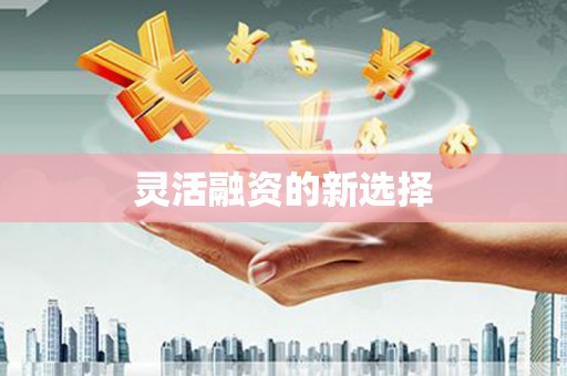 东方灵活融资的新选择