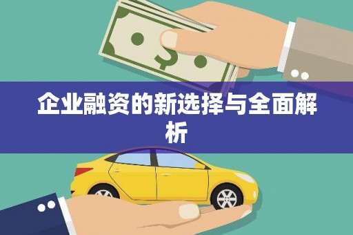 东方企业融资的新选择与全面解析