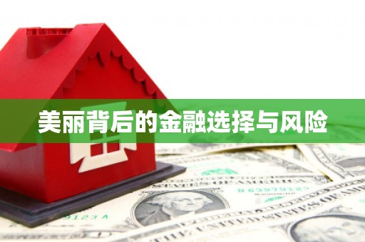 东方美丽背后的金融选择与风险