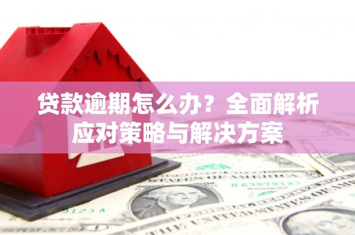 东方贷款逾期怎么办？全面解析应对策略与解决方案