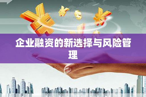 东方企业融资的新选择与风险管理