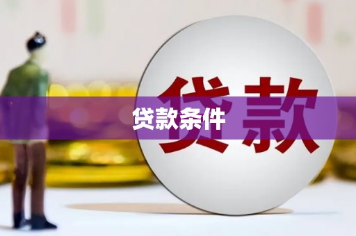 东方贷款条件