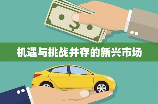 东方机遇与挑战并存的新兴市场