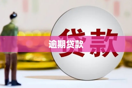 东方逾期贷款