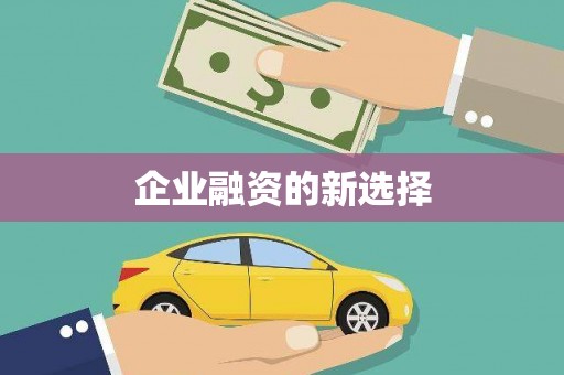 东方企业融资的新选择