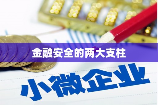 东方金融安全的两大支柱