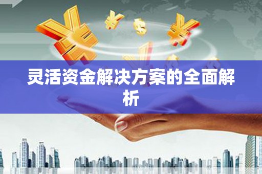 东方灵活资金解决方案的全面解析