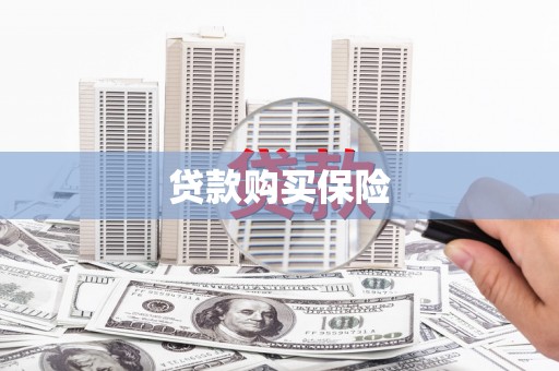 东方贷款购买保险