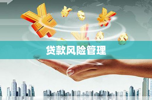 东方贷款风险管理