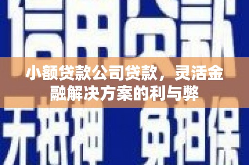 东方小额贷款公司贷款，灵活金融解决方案的利与弊
