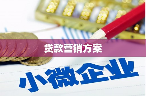 东方贷款营销方案